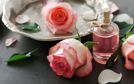 Spa equipment and flowers - oil, roses, aroma, purfume, bottle