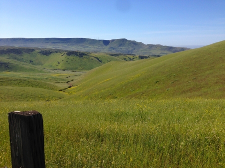 Buena Vista - nature, green, mountains, panorama