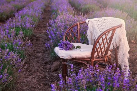 Lavender flowers - veil, wedding, fragrance, summer, bouquet, acsessories, chair, beautiful, scent, flowers, lavender