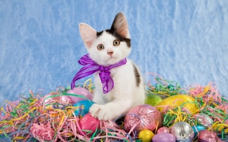 Are These Easter Eggs Mine? - eggs, cats, easter, coloful, sweet, holidat, chocolate, cute