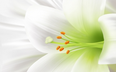 Close Up White Lily - easter, white, yellow, pollen, orange, liliy