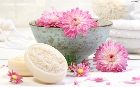 Sent in a Bowl - pink, bowl, clay, flowers, gray