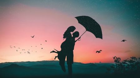 Sunset - bird, silhouette, pink, mad eye, black, umbrella, sunset, couple, sky, lovers