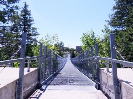 Ranney Falls Bridge , Ontario Canada - Trees, Summer, Canada, Bridge, Photography, Architecture, Ontario, Ranney Falls