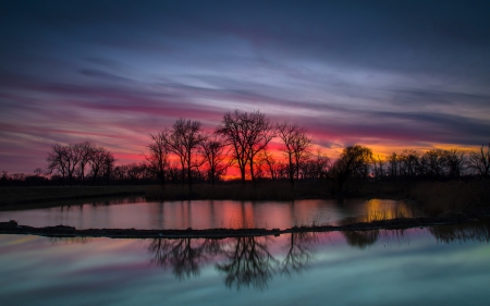 Pond Sunset - silhouettes, reflection, trees, sunset, nature