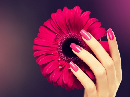 â¤ï¸ - style, nails, hand, female, gerbera