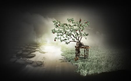 :-) - fantasy, creative, tree, dilshan arukatti