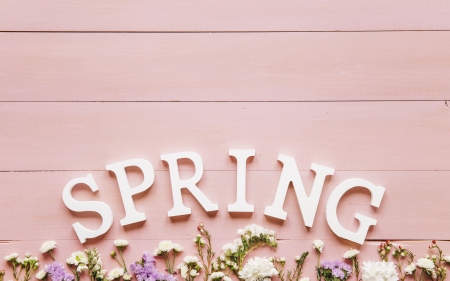 :-) - white, wood, word, spring, card, flower, pink