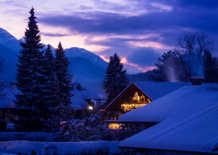 Germany Night - forest, trees, clouds, snow, winter