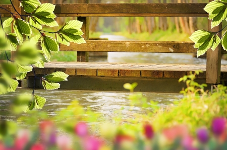 Spring bridge - flowers, nature, water