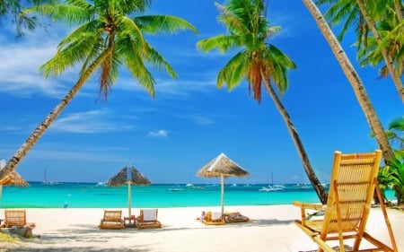 Tropical summer vacation - resort, palm trees, shore, coast