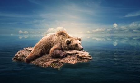 Castaway - sky, manipulation, bear, photoshop, light, water, sea