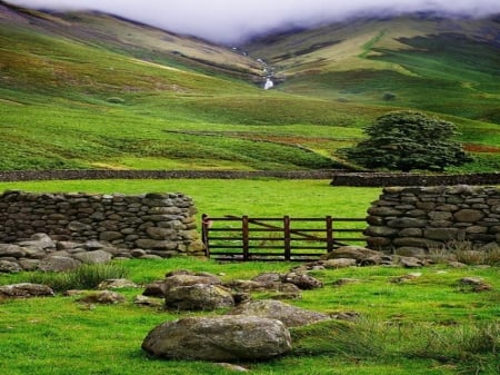 Irish Mountain - gate, tree, wall, mist