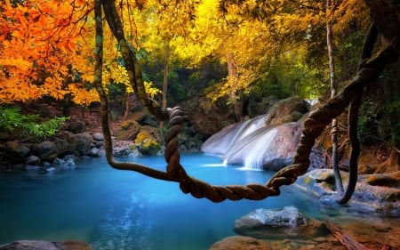 Waterfall in forest - Trees, Jungle, Stones, Lake