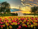 USA Parks Tulip Fountain