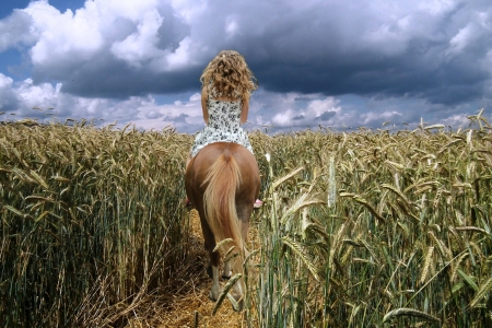 Cowgirl Riding her Horse Through a Field of Wheat - blonde, cowgirl, wheat, horse