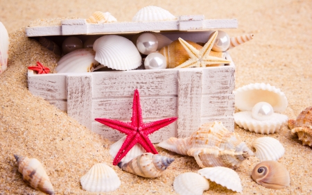 Shells - starfish, vara, red, chest, summer, shell, sand, pearl