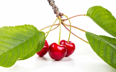 Cherries - leaf, cherry, red, fruit