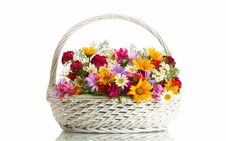 Flowers - colorful, basket, flower, card