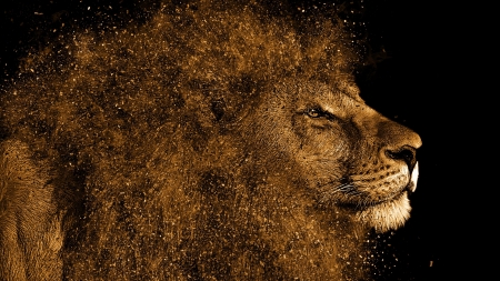 Lion - brown, lion, leu, black, fantasy