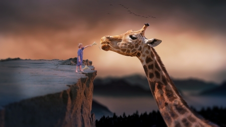 Giant - zebra, cliff, boy, twilight, animal, mountains