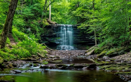 Forest waterfall - trees, cascades, greenery, summer, waterfall, spring, rocks, forest, beautiful