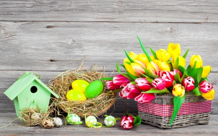 Floral Greetings - eggs, flowers, tulips, blossoms, colors, Easter