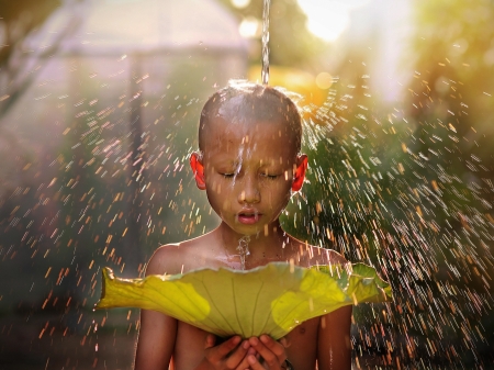 :-) - boy, water drops, rain, monk, little, copil, leaf, child