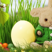 Cute Easter Bunny