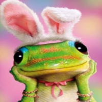 Gecko Bunny Easter
