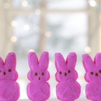 Easter Bunnies Candy