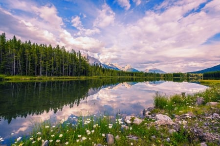 Reflections - reflections, wildflowers, mirror, beautiful, lake, forest, sky