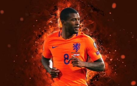 Georginio Wijnaldum - netherlands, holland, dutch, georginio wijnaldum, soccer