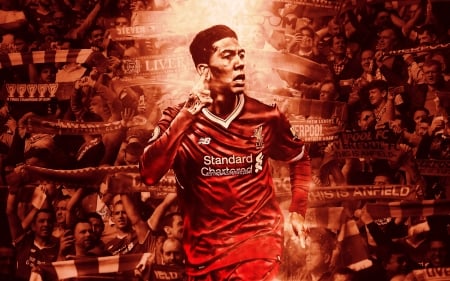 Roberto Firmino - roberto firmino, liverpool fc, bobby firmino, bobby, anfield, liverpool, soccer