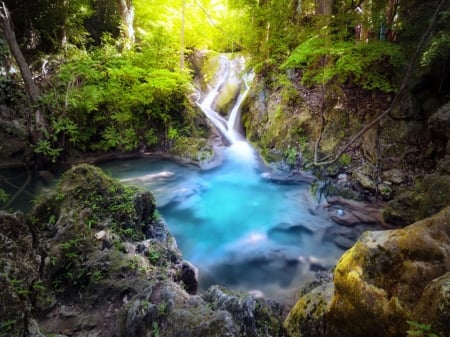 Beautiful creek - landscape, forest, nature, creek