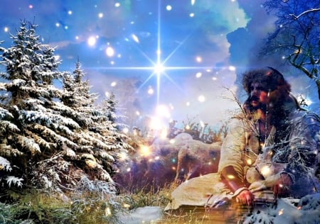 Winter Scripture - jesus, star, sky, trees, snow, winter, lambs