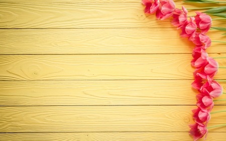 :-) - yellow, wood, spring, card, tulip, pink, sprng