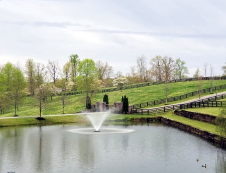 Aquacast - Other, Water Fountain, Rural, Tennessee, Architecture