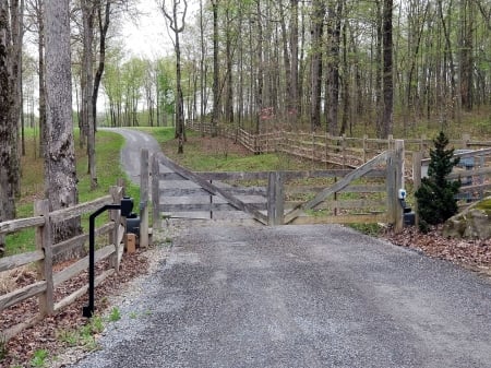 Brakemine - driveway, nature, tennessee, rural