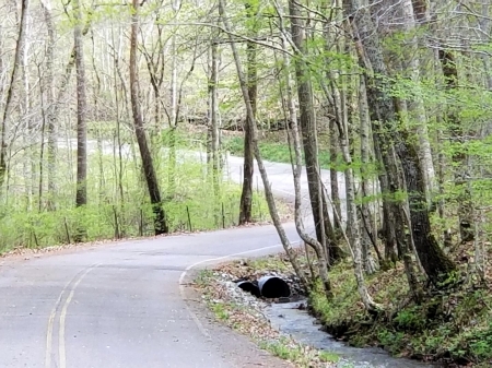 Roadburner - nature, highway, rural, tennessee