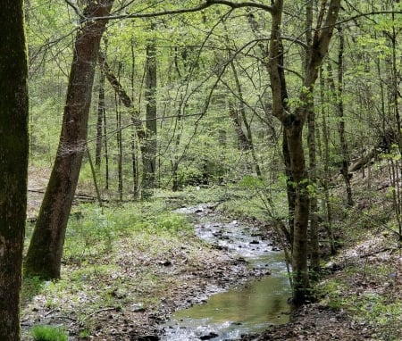 Rapidstream - Tennessee, Nature, Creeks, Rural