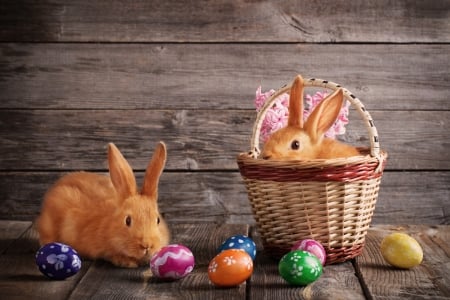 Easter Bunnies - eggs, rabbits, basket, spring