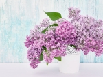 Lilacs