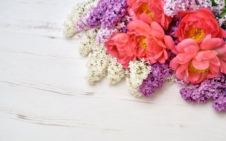 Flowers - white, wood, rose, lilac, spring, card, flower, pink