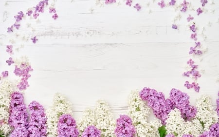 Lilacs - white, wood, pink, card, lilac, flower, spring