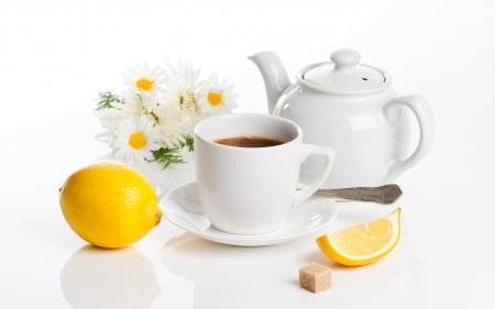 Still life with tea - tea, lemon, sugar, cup