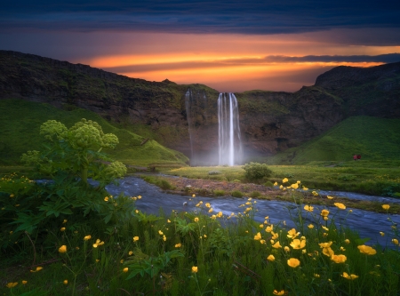 Sunset - flowers, forest, iceland, waterfall