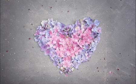 Heart - pink, heart, blue, hydrangea, card, valentine, flower