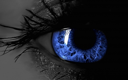 blue eye - black, people, blue, photography