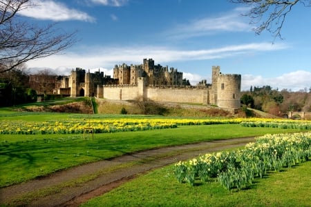 Spring Flowers at Alnwick Castle, UK - medieval, flowers, castle, uk